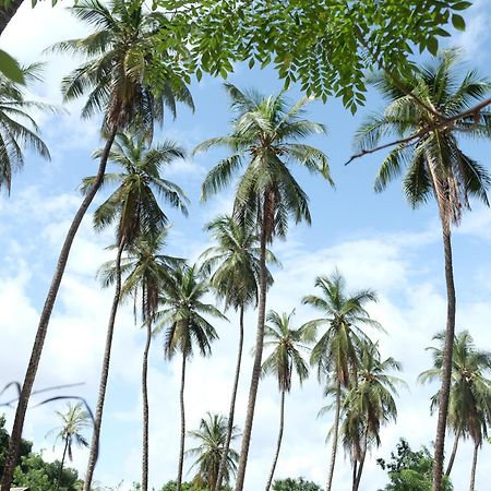 Centre Touristique Et Culturel Casamance Guest House Diakene Ouolof Exterior foto