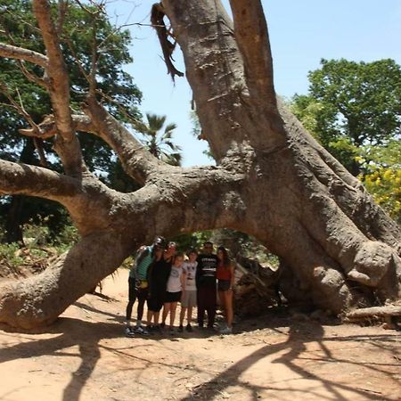 Centre Touristique Et Culturel Casamance Guest House Diakene Ouolof Exterior foto