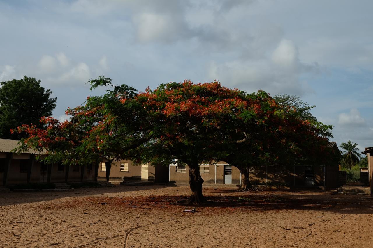 Centre Touristique Et Culturel Casamance Guest House Diakene Ouolof Exterior foto
