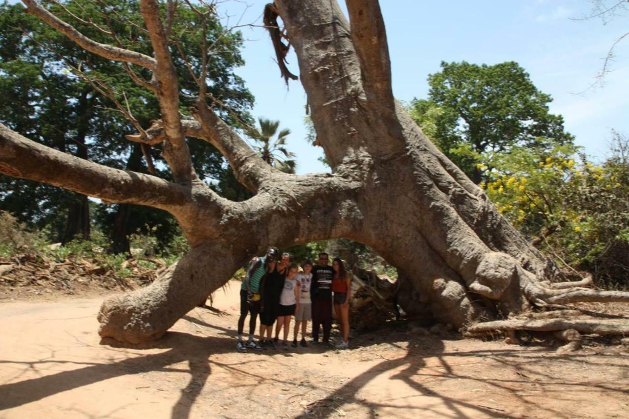 Centre Touristique Et Culturel Casamance Guest House Diakene Ouolof Exterior foto