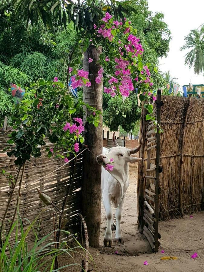 Centre Touristique Et Culturel Casamance Guest House Diakene Ouolof Exterior foto