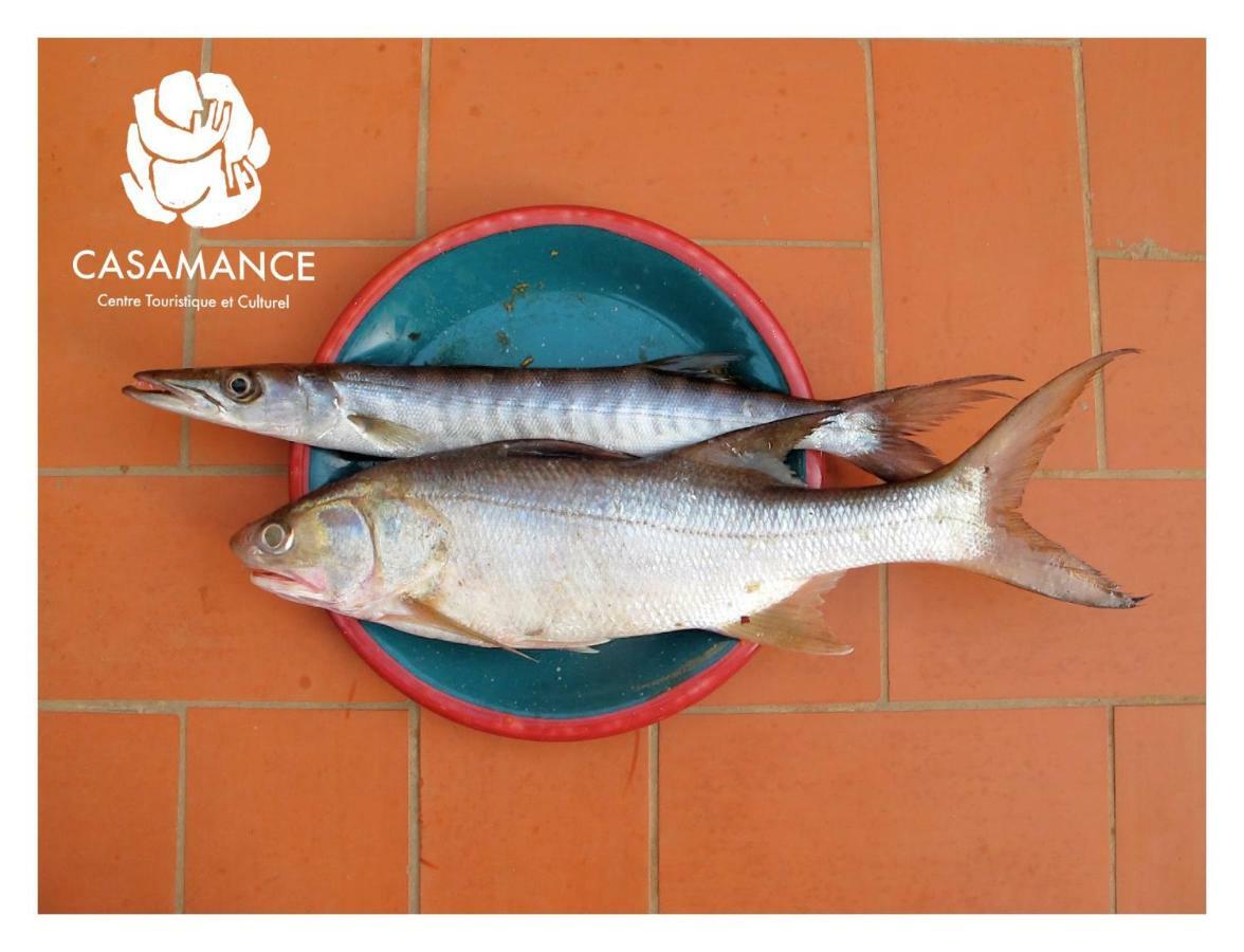 Centre Touristique Et Culturel Casamance Guest House Diakene Ouolof Exterior foto